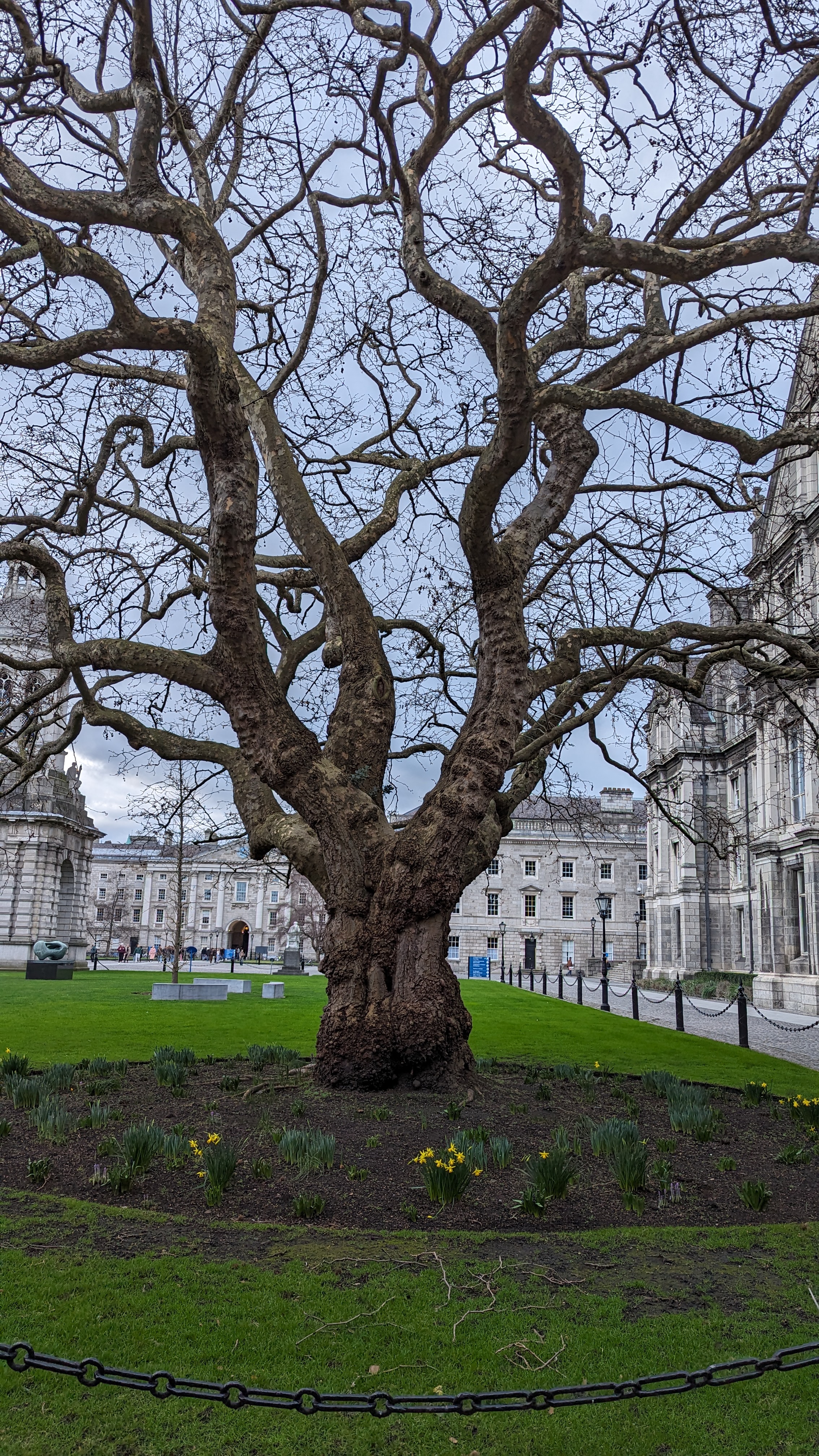 Trinity College