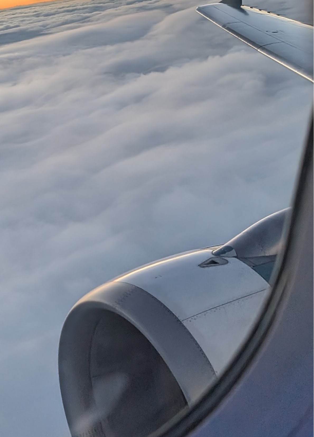Flight